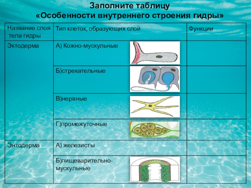 Нарко маркетплейс